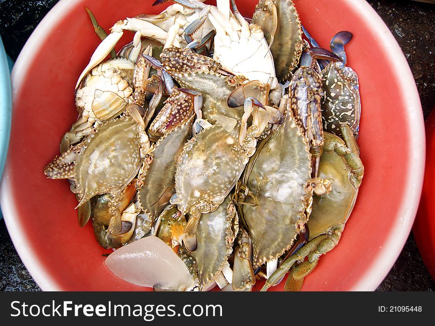 The sea crab, in the seafood market sale.