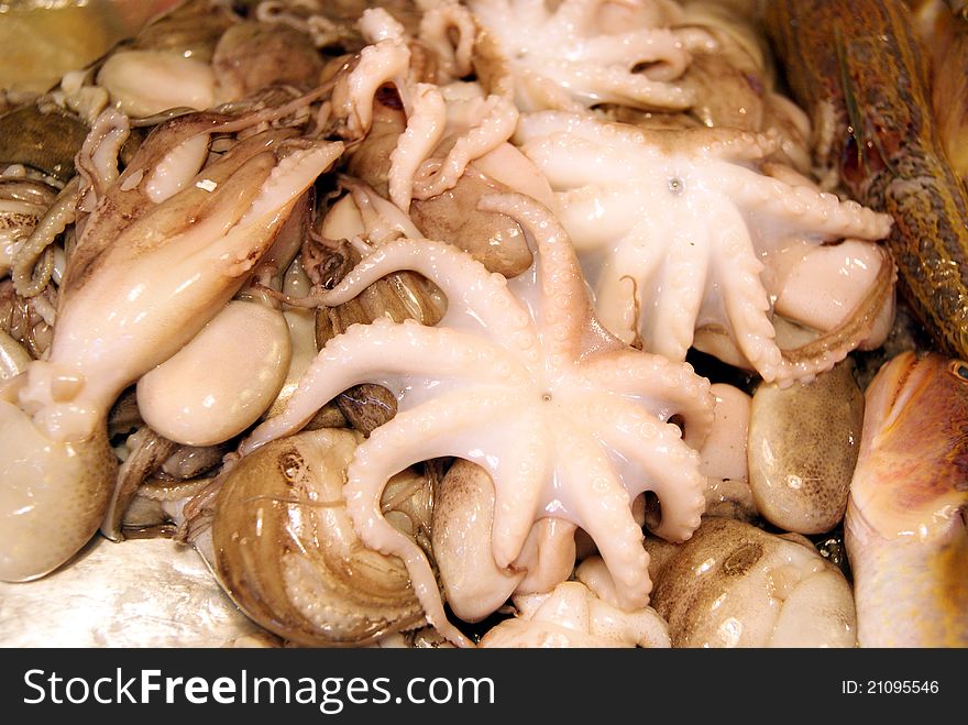 Octopus, in the seafood market sale.