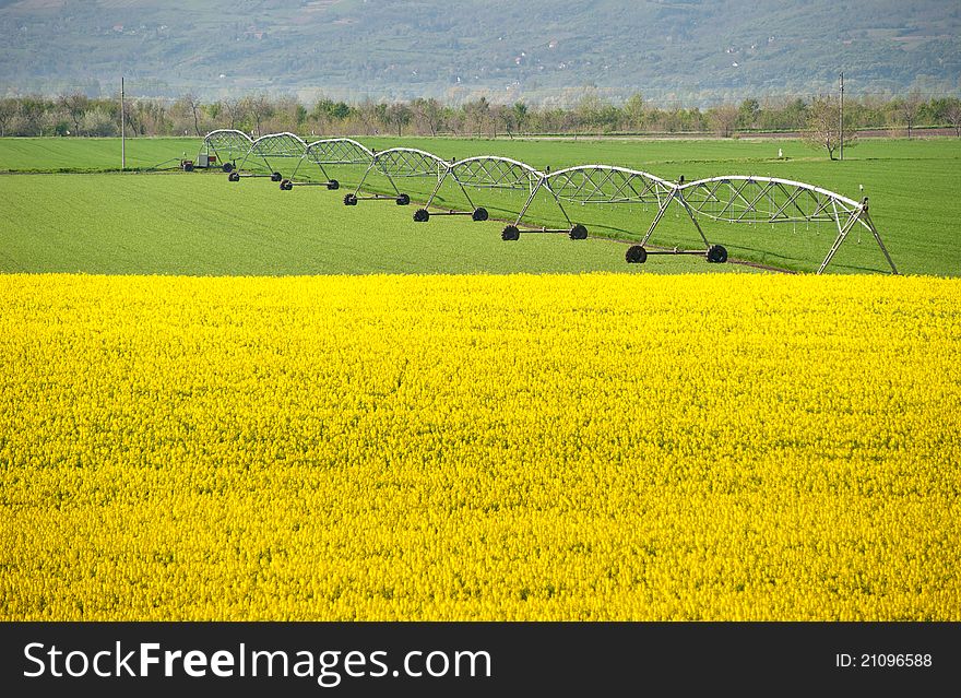 Landscape with rapeseed flowers and Irrigation Equipment. Landscape with rapeseed flowers and Irrigation Equipment
