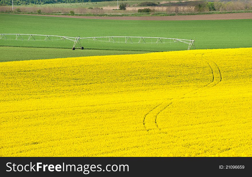 Landscape with rapeseed flowers and Irrigation Equipment. Landscape with rapeseed flowers and Irrigation Equipment