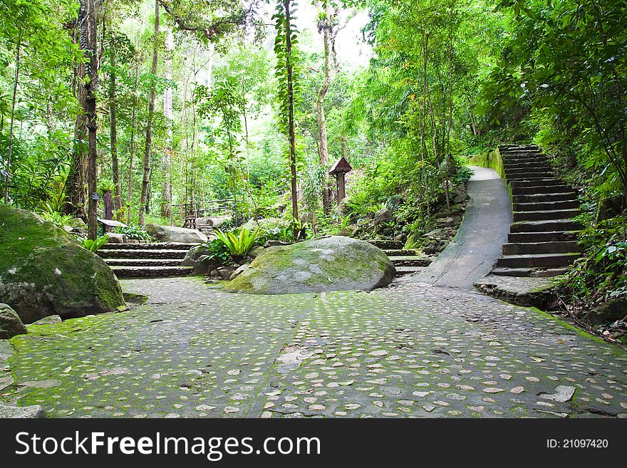 Walk way in Namtokphlio National Park,Chantaburi Province, ,Thailand.