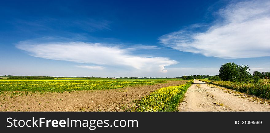 Panorama with road and field