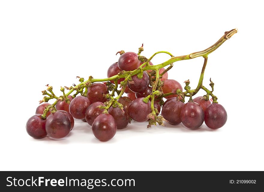 Close up of red grapes on white background