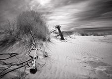 Dunes Stock Photo Dunes Stock Photo