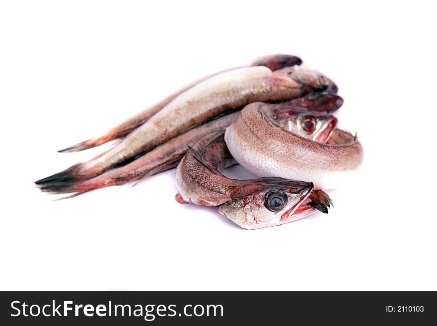 Some fresh young hakes in a white dish ready for cook