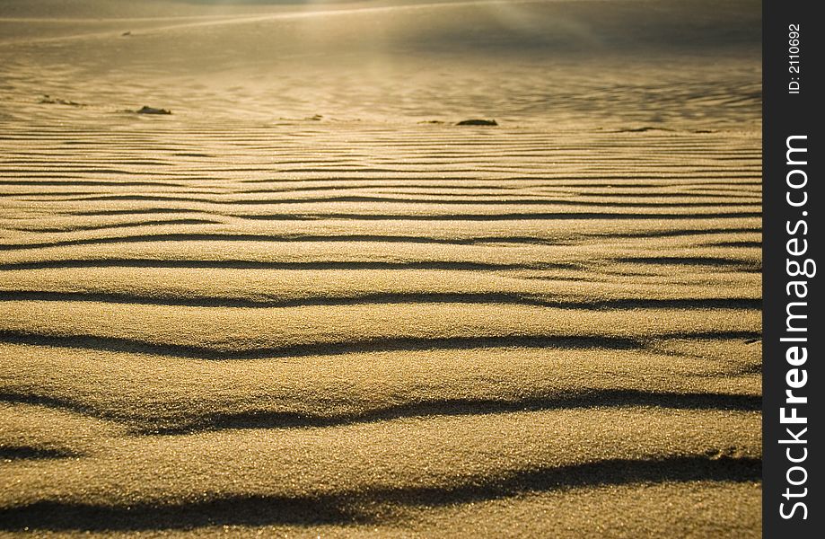 Moving dunes are a kind of sand dunes.They characterize that smaller grains, appearing in a small quantity in the sea sand are usually blown off from the top. The constant movement of grains ( which are not kept by the plants), induces the progressive movement of dunes tops according to direction of dominant winds.