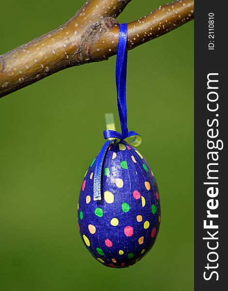 A blue egg hanging from a branch. A blue egg hanging from a branch