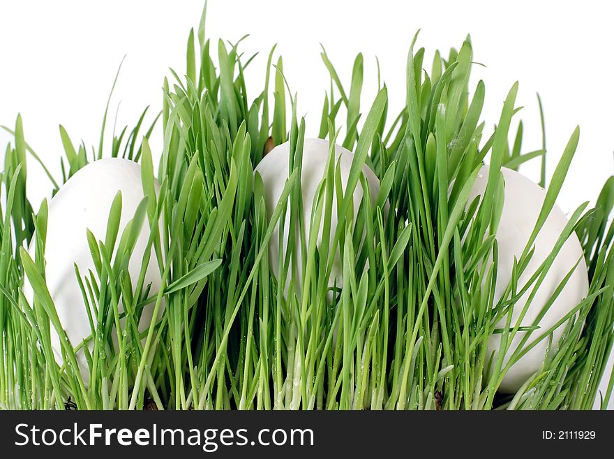 3 white eggs lays in green grass. Profile. 3 white eggs lays in green grass. Profile.