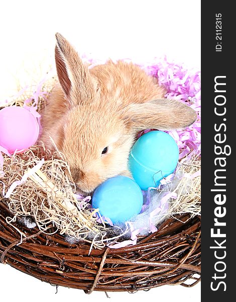 Easter rabbit and some colorful eggs in a nest. Easter rabbit and some colorful eggs in a nest
