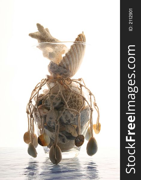 Sea cockleshells and stones in a vase with a grid