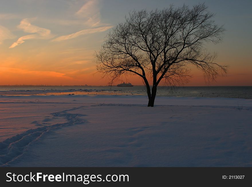 Winter sunset with silhouette of leaf-less tree. Winter sunset with silhouette of leaf-less tree