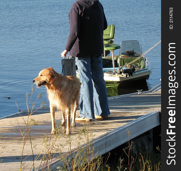 Wet dog standing on pier with owner drying off