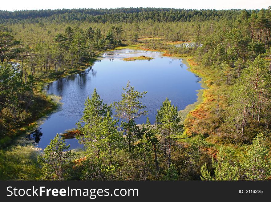 Big deep lake in the middle of a bog. Big deep lake in the middle of a bog