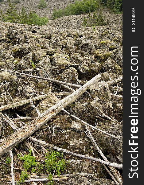 A huge slope with mossy basalt blocks and rotting trees. A huge slope with mossy basalt blocks and rotting trees