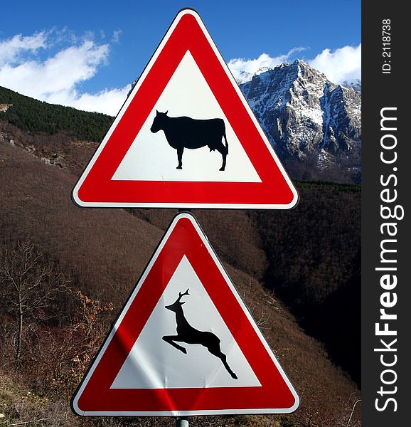 Image of danger signals for mountain's animals presence. Image of danger signals for mountain's animals presence