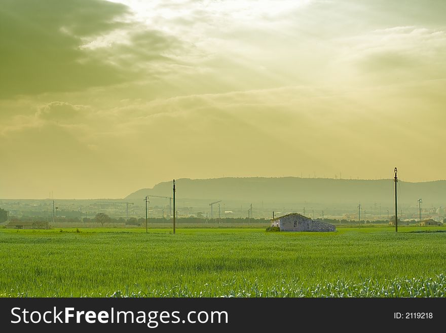 Remembering the old agricolture is a suggestive image of the contrast between old agricolture and modern times. It is a Sicilian landscape.