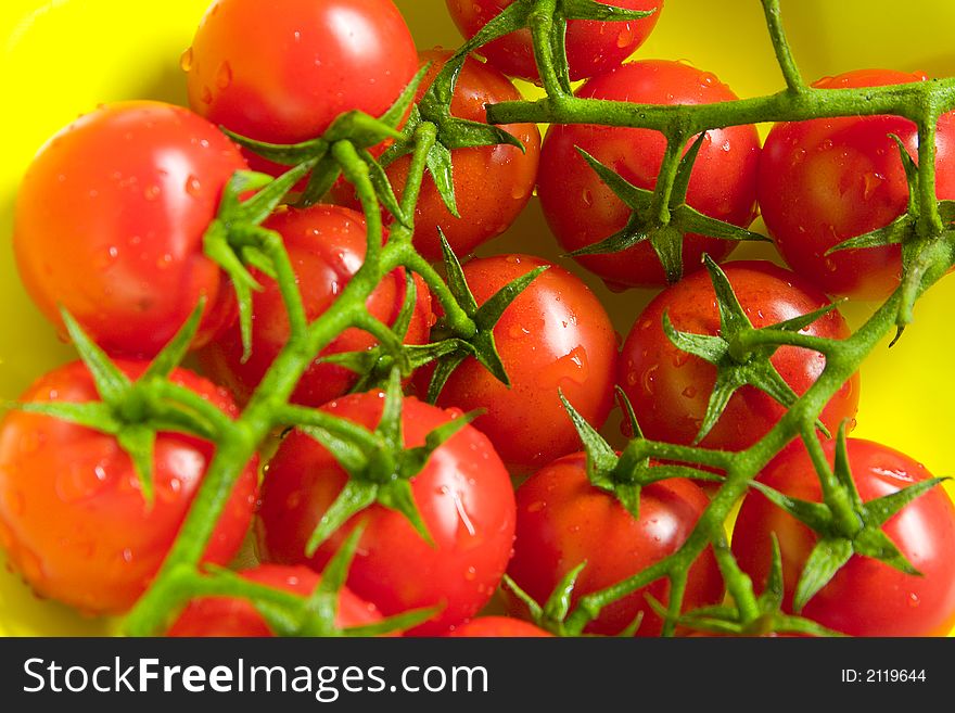 Close up of freshly washed tomatoes