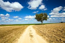 Road In The Field Stock Photo Road In The Field Stock Photo