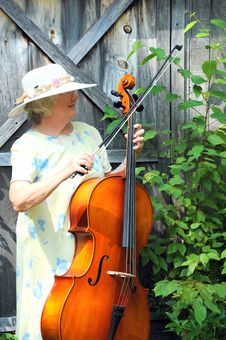 Female Cellist. Stock Photo Female Cellist. Stock Photo