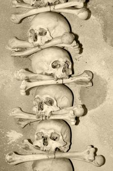 Human Skulls Royalty Free Stock Photography