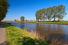 Row Of Trees Near The Canal Royalty Free Stock Image Row Of Trees Near The Canal Royalty Free Stock Image