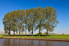 Row Of Trees Near The Canal Royalty Free Stock Image Row Of Trees Near The Canal Royalty Free Stock Image