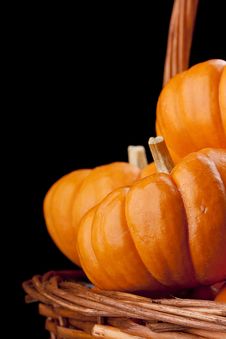 Pumpkins Stock Photo Pumpkins Stock Photo
