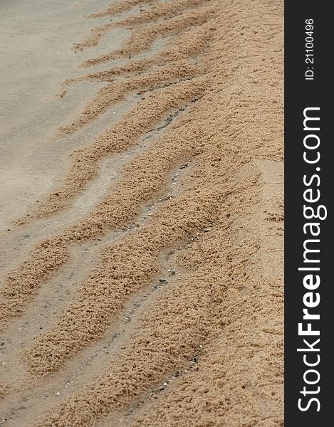 Sand texture on the beach. Sand texture on the beach.