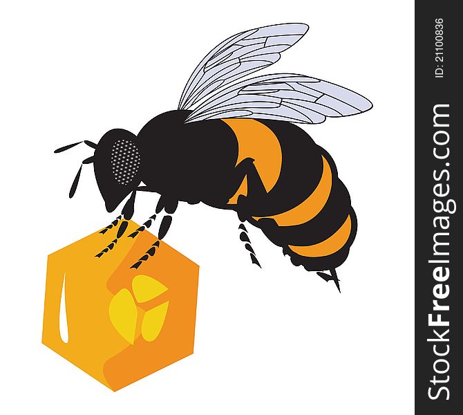 The vector bees and honeycomb with honey