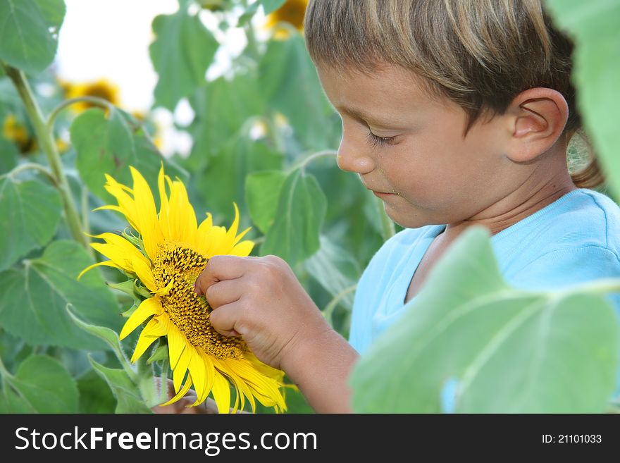 Cute child with sunflower outdoor