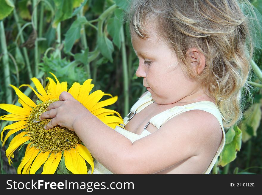Cute toddler girl with sunflower outdoor