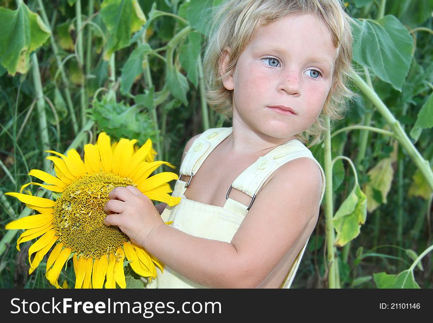 Toddler Girl With Sunflower Outdoor