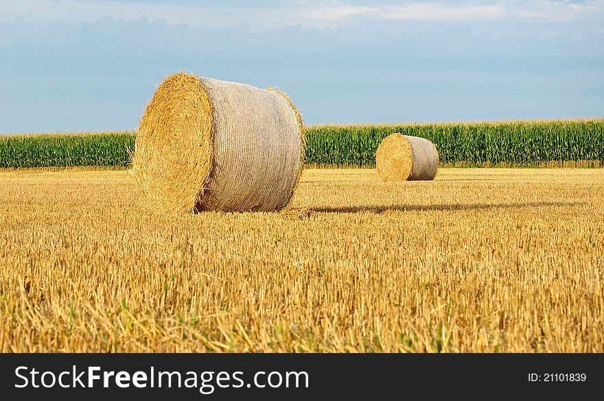 Golden hay bale on a field. Golden hay bale on a field.