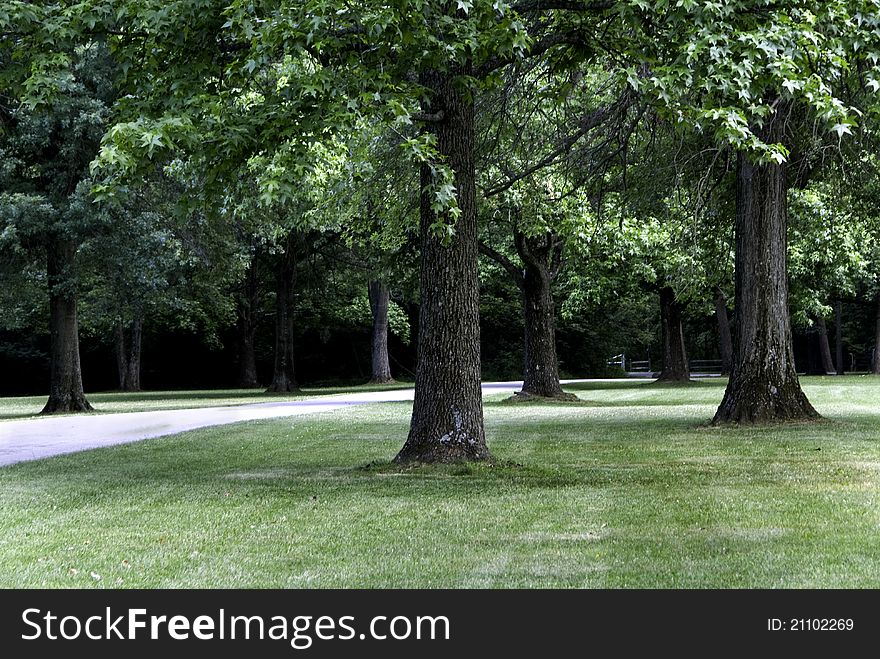 Public park and path with green leaves and trees.