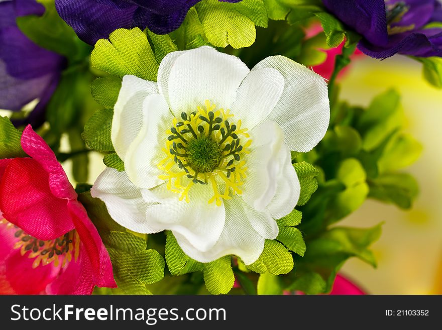 White Flowers, Close Up Shot