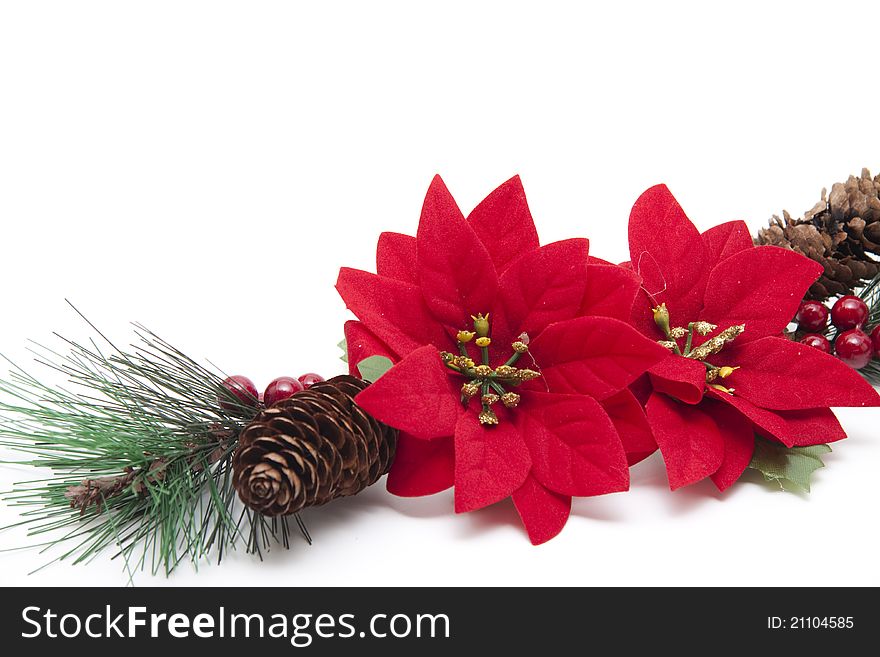 Poinsettia with fir cone and needles