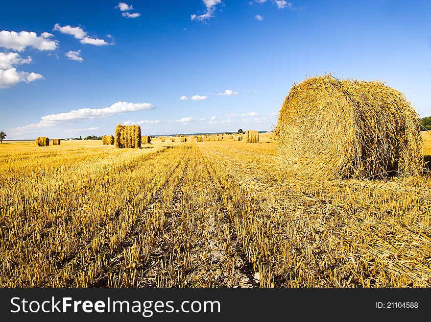 Agricultural field on which have cleaned wheat. Remained after harvest straw is braided in a stack. Agricultural field on which have cleaned wheat. Remained after harvest straw is braided in a stack