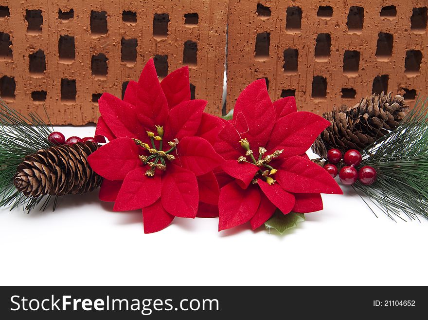 Poinsettia with pine cone and red brick on white background