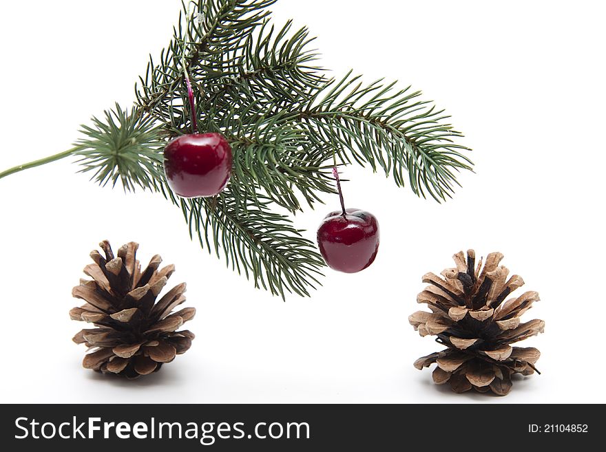 Fir branch with cherries and fir cones