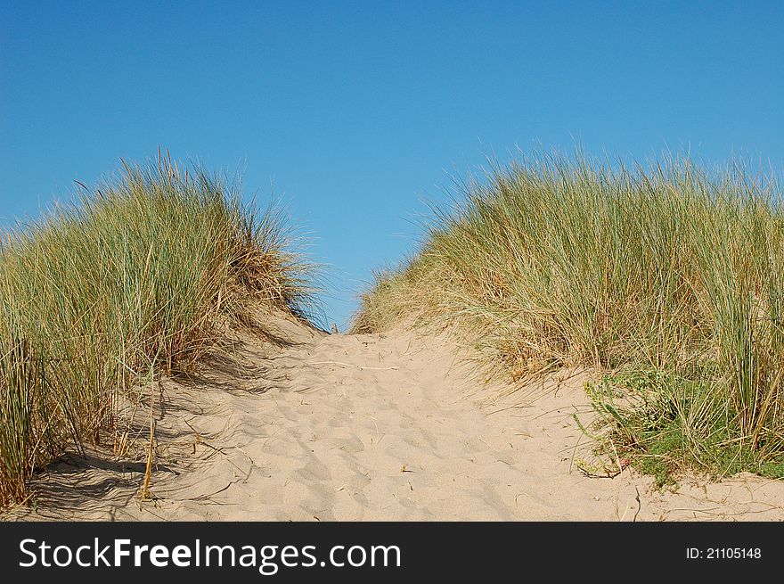 Dunes with grass and blue sky