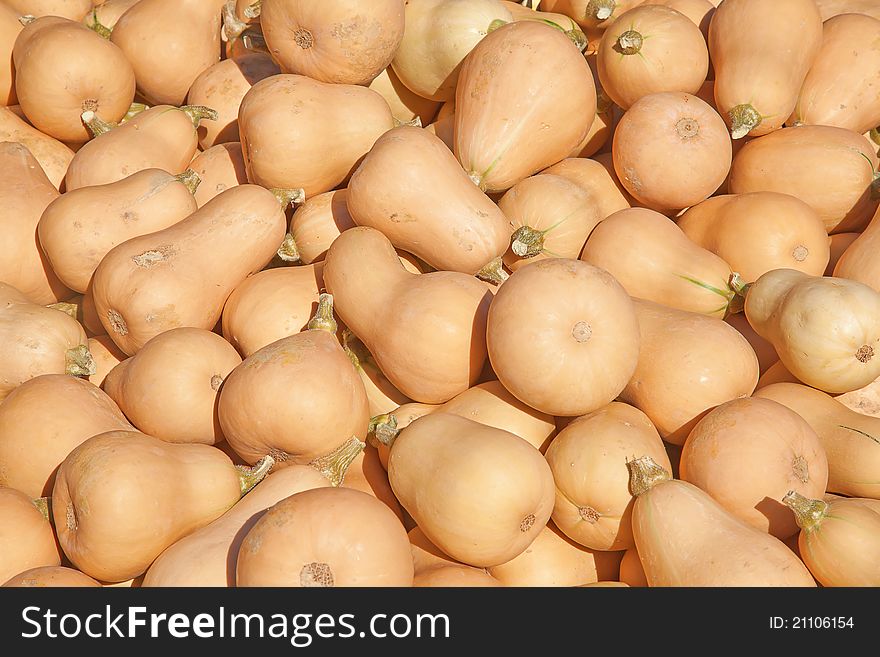 Colorful pumpkins collection on the autumn market