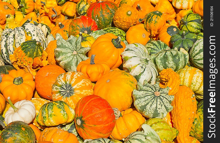 Colorful pumpkins