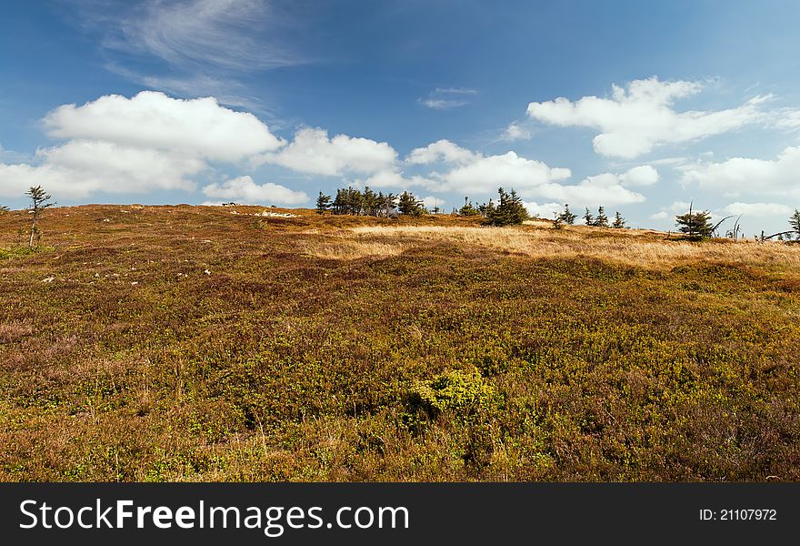 Panorama of European Countryside