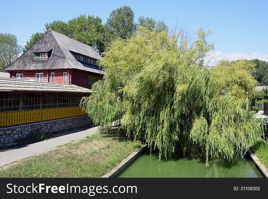 Reed on the river and house in a Transylvania village