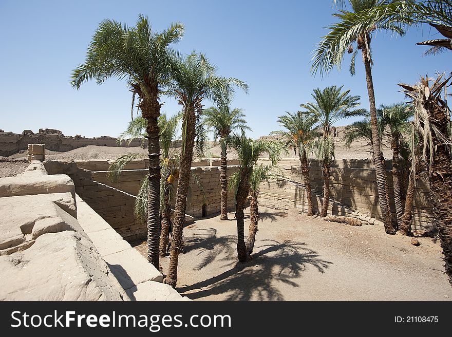 Palm trees growing in the site of a sacred lake at an ancient egyptian temple. Palm trees growing in the site of a sacred lake at an ancient egyptian temple