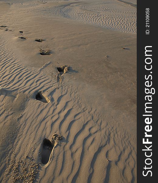 Footsteps left on the sands of the moving dunes in Slonimski National Park in Poland. Footsteps left on the sands of the moving dunes in Slonimski National Park in Poland