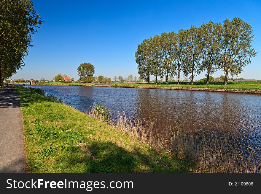 Row of trees near the canal in spring time