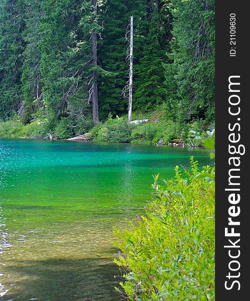 Shoreline hues of Clear Lake in Oregon. Shoreline hues of Clear Lake in Oregon