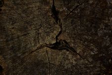 Old Tree Stump Background Stock Photography Old Tree Stump Background Stock Photography