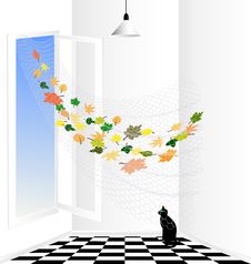 White Room And Black Cat Royalty Free Stock Photography